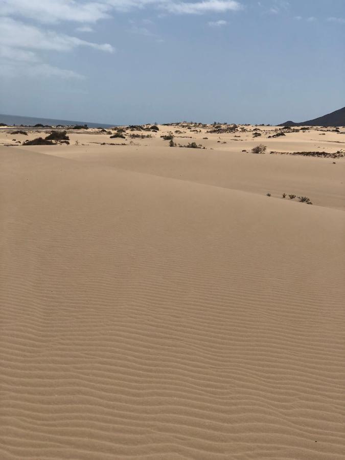 Vereda De Las Camellas 호텔 푸에르토델로사리오 외부 사진