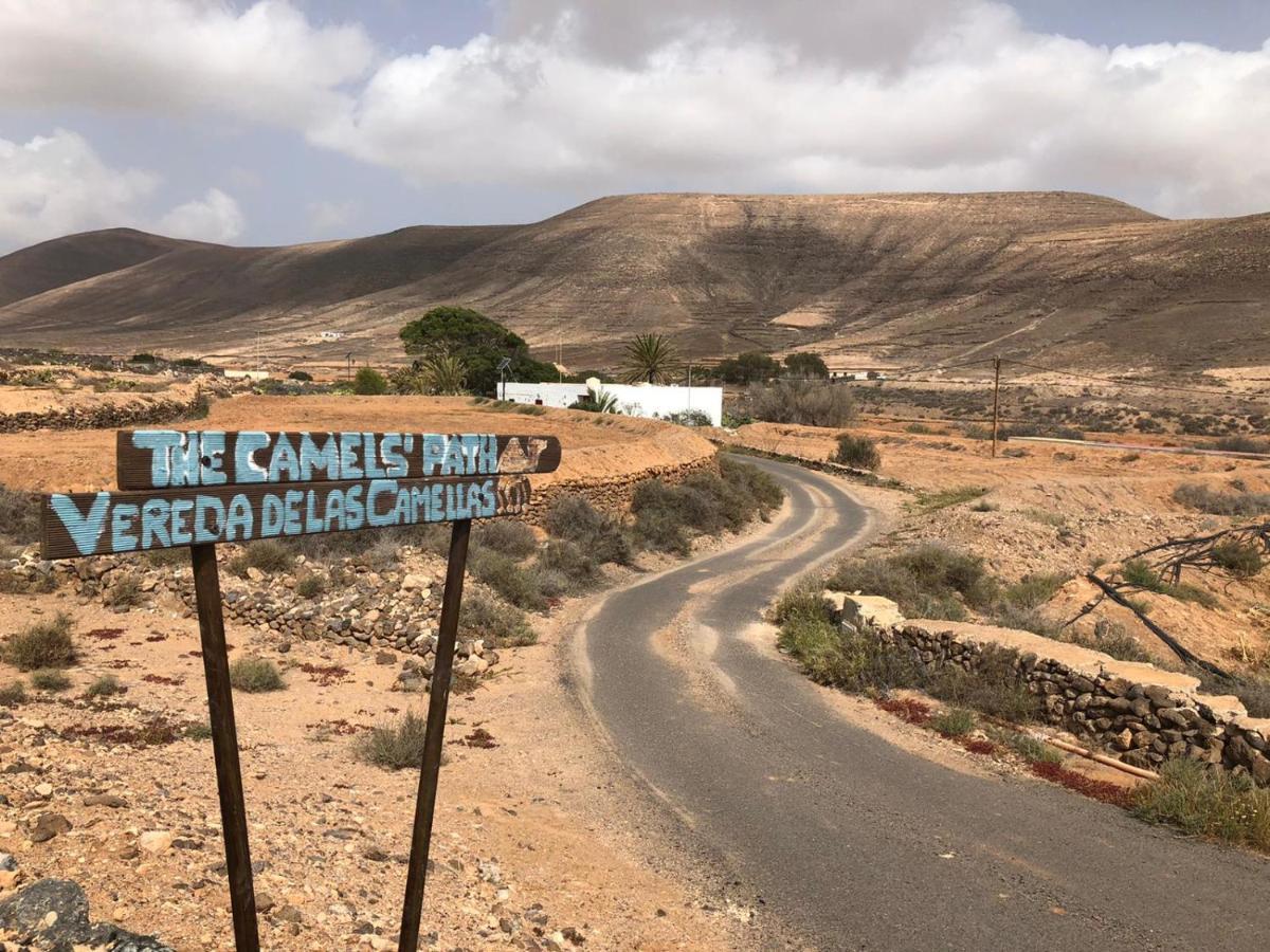 Vereda De Las Camellas 호텔 푸에르토델로사리오 외부 사진